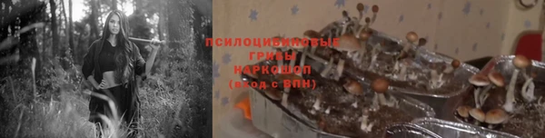 jwh Богородицк