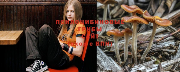 jwh Богородицк