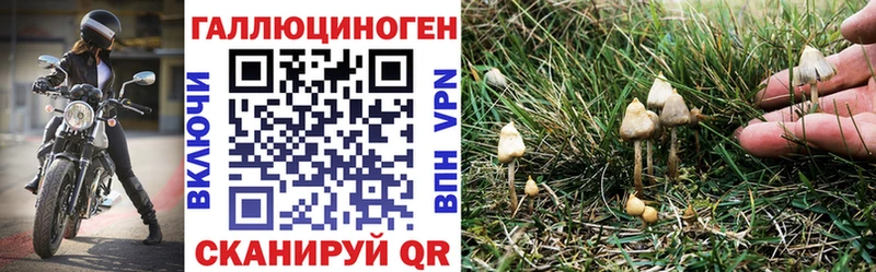 Псилоцибиновые грибы мухоморы  Выборг 